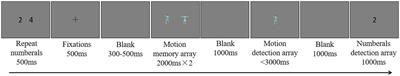 How are patterned movements stored in working memory?